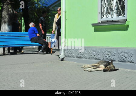 Bakhchysarai, Ukraine, mai 2011. Bakhtchyssaraï gare. avec les gens en face. Banque D'Images