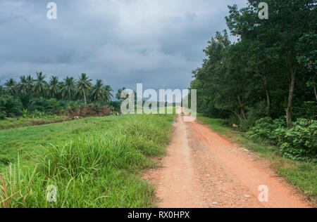 Palmeraie près de Tanjung Piai, la pointe la plus méridionale de l'Asie continentale, Pontien, Malaisie Banque D'Images