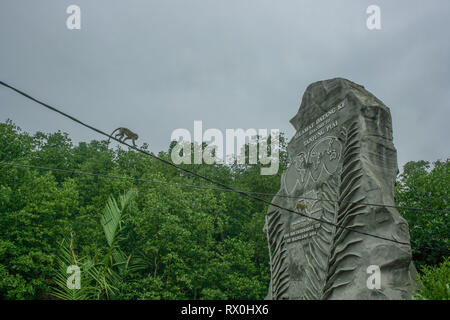 Macaque à Tanjung Piai, la pointe la plus méridionale de l'Asie continentale, Pontien, Malaisie Banque D'Images