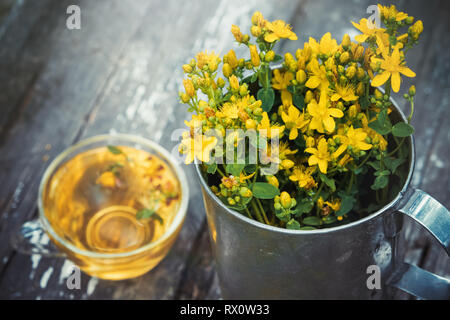 St Johns millepertuis fleurs dans un grand mug rétro et saine hypericum plateau - pas dans l'accent. Vue d'en haut. Banque D'Images