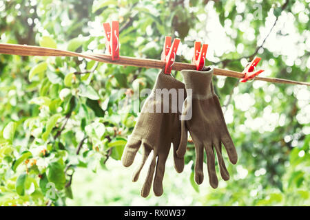 Gants de jardinage suspendu par une corde à linge dans le jardin. Banque D'Images