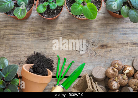 Plusieurs de flowerpot houseplant, équipement pour les plantes en pot. Pot de fleurs avec sol et bulbes de fleurs de printemps. L'espace de copie pour le texte. Haut de la vue, télévision lay. Banque D'Images