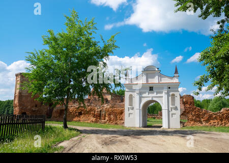 Porte de ruines de la Chartreuse en 1648-1666 ans Beryoza ville, de la région de Brest, en Biélorussie. Banque D'Images