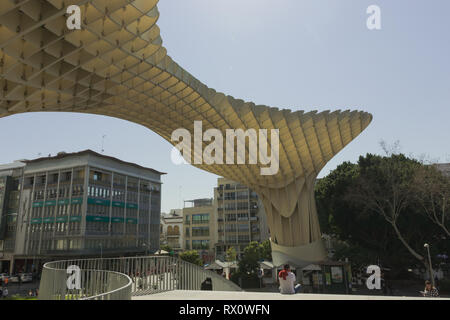 Metropol Parasol, Setas de Sevilla, construit par Sacyr avec bois, situé à la place Encarnación, dans la vieille ville de Séville. Séville, Espagne, Banque D'Images