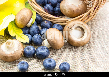 Les bleuets et les champignons dans le panier sur toile Banque D'Images