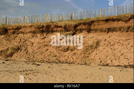 Dunes de sable de l'érosion sur la plage à Dawlish Warren. Banque D'Images