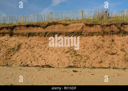 Dunes de sable de l'érosion sur la plage à Dawlish Warren. Banque D'Images