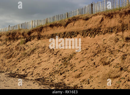 Dunes de sable de l'érosion sur la plage à Dawlish Warren. Banque D'Images