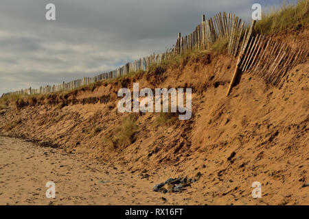 Dunes de sable de l'érosion sur la plage à Dawlish Warren. Banque D'Images