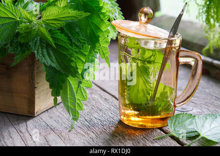 Thé ou infusion d'ortie sain et herbes ortie sur table en bois dans un style rétro maison de village. Banque D'Images