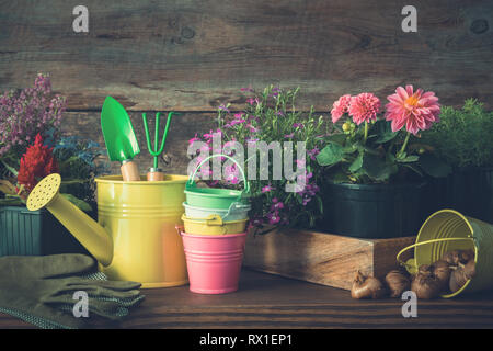 Les semis de plantes de jardin et de fleurs en pots. Matériel de jardin : arrosoir, seau, pelle, râteau, des gants. Banque D'Images