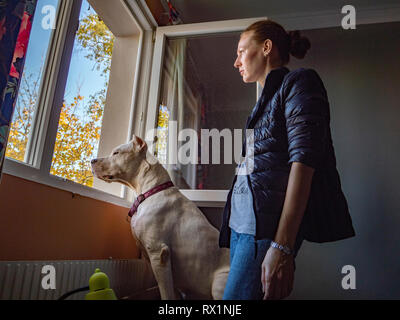 Vue de côté de femme avec grand danois à la fenêtre tout en se tenant dans le cadre à la maison de chambre à coucher Banque D'Images