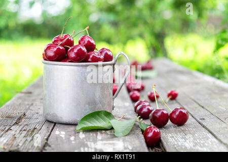 Mug rustique plein de cerises mûres rouges sur banc en bois dans le jardin d'été. Banque D'Images