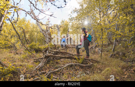 Portrait de femme debout au milieu des arbres sur les randonneurs en forêt de montagne Banque D'Images