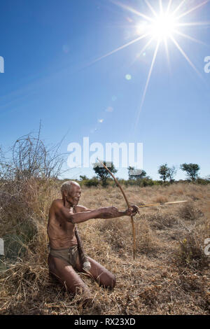 Un Ju'hoansi Bushmen San hunter Banque D'Images