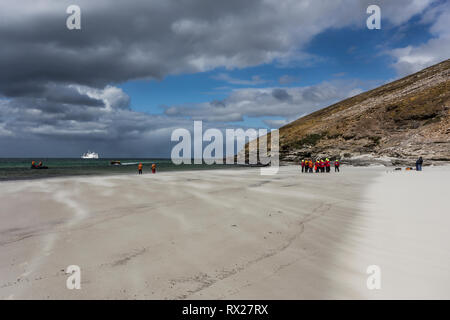 L'arrivée d'une tempête fait un atterrissage difficile sur une plage exposée au vent sur l'Île Saunders, Îles Falkland Banque D'Images