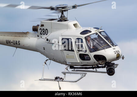 Eurocopter AS-350BA aérienne Hélicoptère filmer avec une caméra Cineflex nez monté sur Melbourne. Banque D'Images