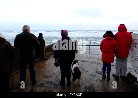 Un groupe de personnes et un chien à regarder la météo et des vagues à Freshwater Bay sur l'île de Wight. Banque D'Images