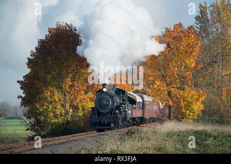 L'excursion d'automne Chehalis-Centralia Railroad train à vapeur. Olympia, Washington, USA. Banque D'Images