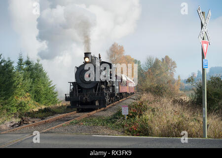 L'excursion d'automne Chehalis-Centralia Railroad train à vapeur. Olympia, Washington, USA. Banque D'Images