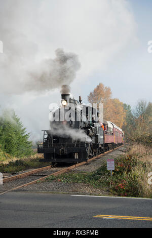 L'excursion d'automne Chehalis-Centralia Railroad train à vapeur. Olympia, Washington, USA. Banque D'Images