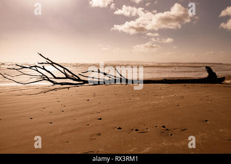 Camber Sands Banque D'Images