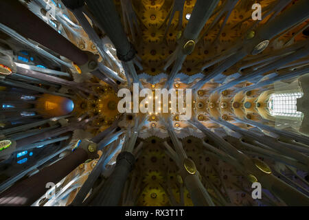 Le magnifique atrium intérieur d'Antonio Gaudi's Sagrada Familia à Barcelone, Espagne. Banque D'Images