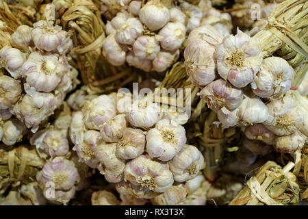 De nombreux bouquets d'ail frais de vente sur le marché des ampoules Banque D'Images