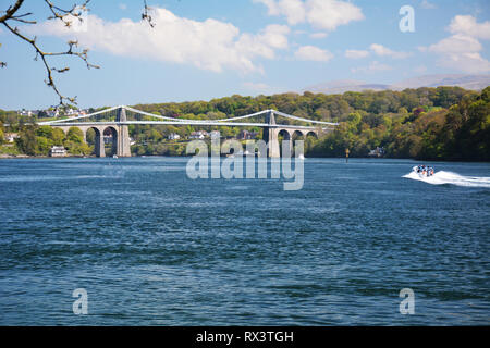 Le Pont Suspendu de Menai à la fin de la Détroit de Menai au printemps Banque D'Images