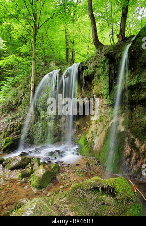 Cascades vert printemps en Slovaquie Banque D'Images