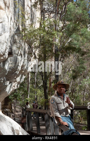 Galerie d'art, Carnarvon Gorge, Queensland, Australie Banque D'Images