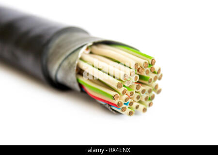 Conducteurs en cuivre multibrins isolés en vinyle de câble de commande et d'armures de métal isolé sur fond blanc Banque D'Images