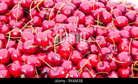 Beaucoup de cerise rouge sur le panier. Les cerises rouges fraîchement cueillies sont doux et bon pour la santé Banque D'Images