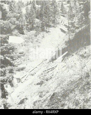 Effet de l'exploitation des routes sur les routes d'exploitation de l'effet sur les taux de production de sédiments dans l'Idaho effectofloggingr batholite123méga année : 1972 Figure 5.-l'avalanche de débris récuré le bas de 3 bassins hydrographiques au substratum rocheux. La diapositive oblitérée le sedi- ment barrage (anciennement dans le fond du chenal) et éclaboussé de boue sur haut de la pluie de stockage gage tower (voir flèche). teneur en eau. Des avalanches de débris généralement laisser une cicatrice de forme allongée à la roche à la diapositive origine et présentent souvent une pente caractéristique chemin glisser. La partie inférieure du bassin versant en route jammer 3 a été construit par la vieille diapositive Banque D'Images