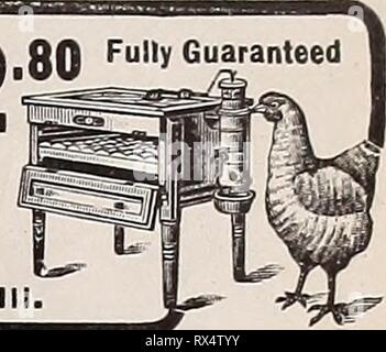 L'poultryman (1904) l'Est easternpoultryma poultryman Année : 1904 électionné56L'POULTRYMAN. 9595^^JF Greene BROSl POUX POULE KILLER TUE POU DU POISSON SUR LES POULES EN TROIS MINUTES, présentés dans des boîtiers perforés PAS DE DÉCHETS : Z"f, postpaid'- boxXd* de l'échantillon de l'ESSAYER. *R 142 AGENTS VOULAIENT FORT LEOMINSTEIVMASS^L'Amérique. 25c'est TOUT CE QU'IL FAUT PAYER POUR LA VOLAILLE DE FANTAISIE. Le phénoménal succès et plus lu d'organes de volaille du Sud. Créé en 1897, c'est un crédit à sa section, le grand Sud et en croissance. Il n'est pas dans les délais le 10 de chaque mois, est prospère et responsable. Comme Banque D'Images