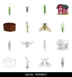 Fly,grenier,printemps, pain, l'orge d'hiver,souches,insectes,spike,bâtiment,,root,dur,lutte,industrie,brown, contrôle,,farine,automne,sols,stop,graines,sain,Culture,ailes,son,glucides croître,blé,agriculture,agriculture,plantes,seigle blé,maïs,grain,récolte,ferme,,champ,set,icône,,illustration,collection,isolé,design,graphisme,élément vecteur vecteurs,signer , Illustration de Vecteur
