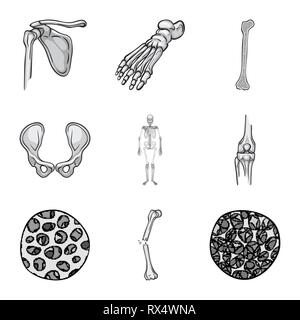 Fémur,foot,,hanche,l'appareil locomoteur Fracture,fibre,ostéoporose,bassin,cheville,bony,joints,sain,scientifique,la douleur,cell,chirurgie,les pieds plats,linstallation,body,ossature,tendon,mouvement,calcium,crâne,bois flotté,dommage,joints,tissus,musculaire,biologie,médical,os,squelette humain,anatomie organes,médecine,clinique,,set,icône,,illustration,collection,isolé,design,graphisme,élément signe,gris,noir,vecteurs vecteur , Illustration de Vecteur