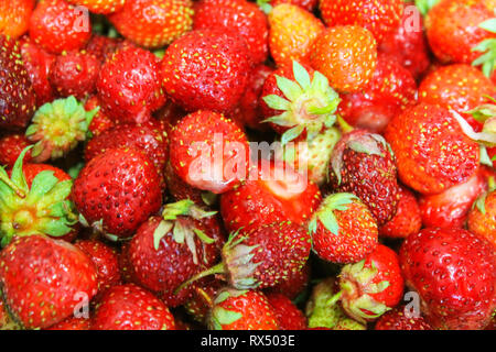 Fruits rouges fraises close up comme arrière-plan Banque D'Images