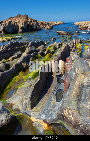 Géologie Zumaia, la célèbre côte spécial côte flysch dans le Nord de l'Espagne Banque D'Images