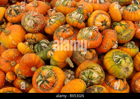 Courge turban Banque D'Images