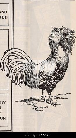 L'poultryman (1904) l'Est easternpoultryma poultryman électionné511Année : 1904 Fiction Géographie, Etc. English -^^Qp Biographie 25 000 nouveaux mots. E,tc. Répertoire géographique du nouveau le monde "Avec plus de 25 000 entrées sur la base du dernier recensement. Nouveau dictionnaire biographique de plus de 10 000 personnes a noté namesof, naissance, décès, etc. Sous la direction de W. T. HARRIS, Ph.D., LL.D., United States Commissaire de l'éducation. Les nouvelles plaques. Liaisons riches. 2380 pages in-quarto. 5000 Illustrations. Devrait être en ELvery maison, l'École et bureau a également Webster's Collegiate Dictionary avec iioopages. 1400Illustrations.Taille : 7Comptabilisation des appels Xiox2^/gin Banque D'Images