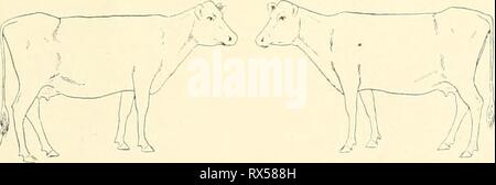 L'effet de la vaccination contre la tuberculose l'effet de la vaccination contre la tuberculose sur les bovins infectés de tuberculose n'effectoftubercul00poire Année : 1905 11 1902. Le 19 décembre. 0,1 cc. 1903. Le 2 février. 0,8 cc. (( ' 9. 1.0 cc. ' ' 15. 1,5 cc. (I (( 18. 0,0013 u ' 22. 1.0 cc. ' ' 24. 1,5 cc. ' Le 4 mars. 2.0 c.c. il ' 6. 2,5 cc. ' Un 11. 3.0 cc. ' Il 14. 3.5 cc. ' ' 21. 0,0039 ' li 27. 1.0 cc. ' ' 29. 1.5 u c.c. le 5 avril. 2.0 c.c. u ' 8. 2,5 cc. ' ' 10. 3.0 cc. ' Il 16. 3.5 cc. ' ' 18. 0,0039 ' ' 23. 0,5 cc. ' ' 27. 1.0 cc. ' ' 30. 2.0 cc. Le 29 mars 1904. 0,0065 Avril 1 '. 1.0 c.c. il 4 Banque D'Images