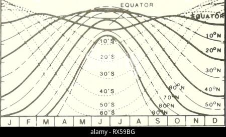 L'écologie des marais du delta l'écologie des marais du delta de la Louisiane côtière : un ecologyofdeltama profil communautaire00goss Année : 1984 CHAPITRE 1 Le paramètre régional des caractéristiques uniques de la région et ses marais le sigle froin résultat de l'interaction de trois forces - le climat subtropical, le régime océanique, et la rivière - tous agissant sur le modèle de la géographie physique de la côte du golfe. Le contrôle des forces canadiennes le processus géomorphologiques qui ont formé le delta et aussi les caractéristiques biologiques du delta des marais. Pour les plantes sur le marais côtier ces forces résoudre Banque D'Images