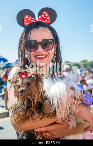 RIO DE JANEIRO - février 19, 2017 : Un propriétaire avec Minnie Mouse ears est titulaire d'une une paire de chiens à l'Blocão fête de rue annuelle pet pendant le carnaval. Banque D'Images