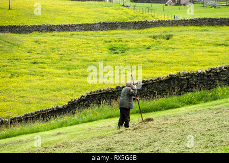 Un agriculteur féminin qui a fait tourner le foin à la main dans un champ en été. Thwaite Swaledale Yorkshire Dales National Park North Yorkshire England Royaume-Uni Grande-Bretagne Banque D'Images