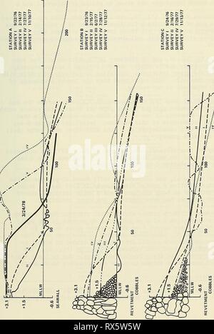 Effets de la régénération des plages sur les effets de la régénération des plages sur le sable du littoral de la faune sauvages à Imperial Beach, Californie effectsofbeachre00parr Année : 1978 u u (j'^) SNOI1VA313 29 Banque D'Images