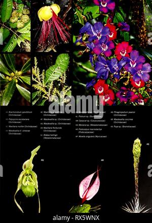 L'Équateur Cabeceras Cofanes-Chingual (2009) Banque D'Images