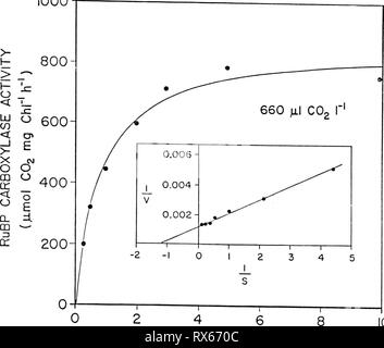 Effets du dioxyde de carbone sur les effets du dioxyde de carbone sur la physiologie et la biochimie de la photosynthèse dans effectsofcarbond soja00camp Année : 1986 101 1000 46 HC03' (mM) 10 Banque D'Images