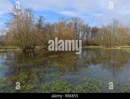 Lehde, Allemagne. 05Th Mar, 2019. Chaque année au printemps les prés dans le Spreewald, comme ici à l'Spreewalddorf Lehde, sont inondées par l'eau. Crédit : Patrick Pleul/dpa-Zentralbild/ZB/dpa/Alamy Live News Banque D'Images