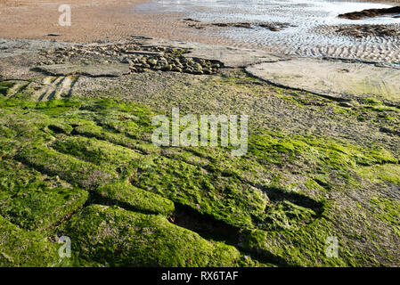 Marée basse sur la plage de Cabourg, France Banque D'Images